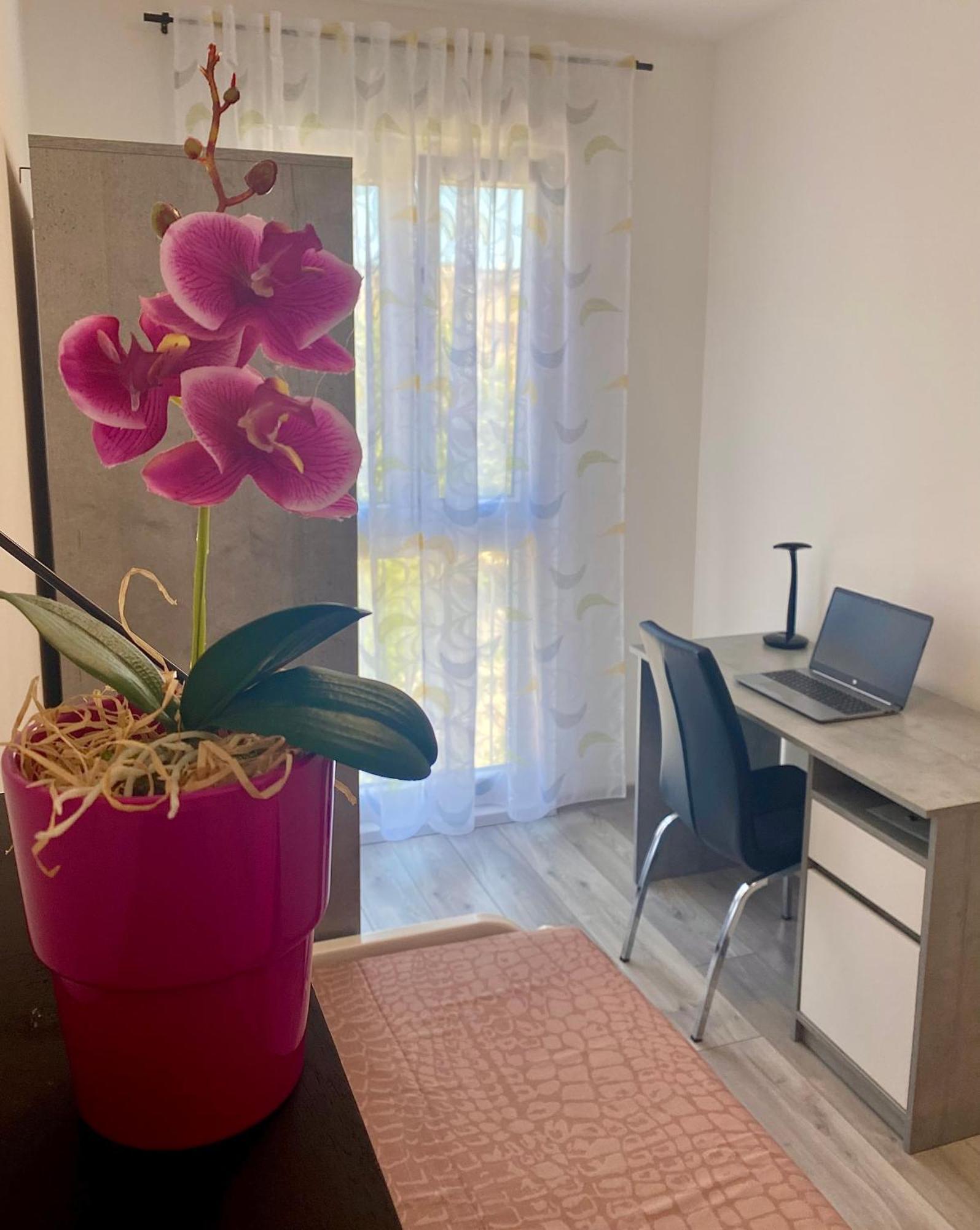 Ema Apartment Pula Zewnętrze zdjęcie